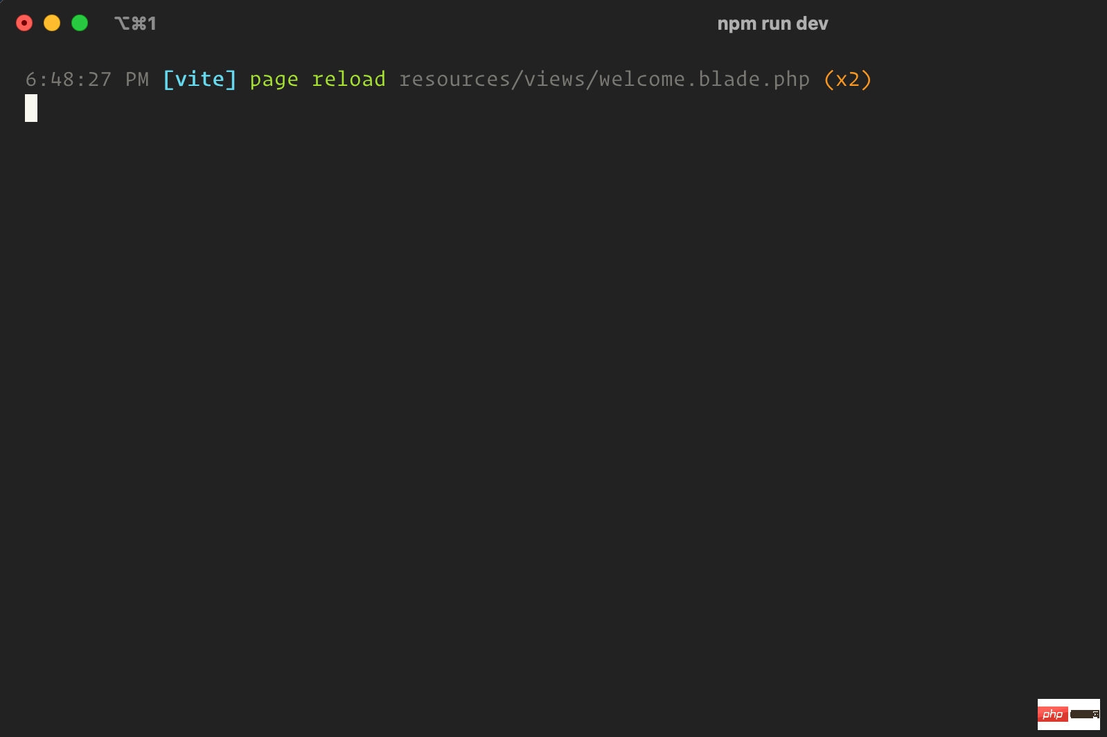 Vite page reload console output