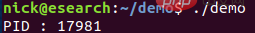 linux ptys是什么