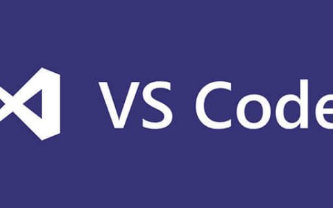 vscode报错插件怎么办