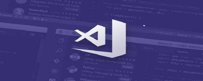 vscode的插件放在哪里