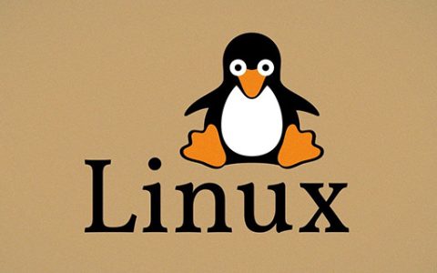 一起分析Linux经典技巧之进程ID号