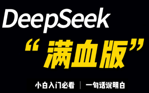 DeepSeek满血版地址 DeepSeek R1满血版在线使用入口2025