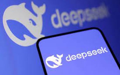 DeepSeek容器化部署的最佳实践 DeepSeek Docker镜像构建与运行教程