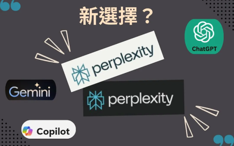 Perplexity AI企业数据如何隔离 Perplexity私有数据保护机制