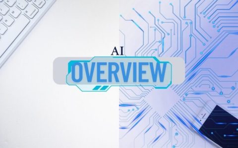 AI Overviews回复内容不准确怎么解决 AI Overviews输出结论与事实不符怎么办
