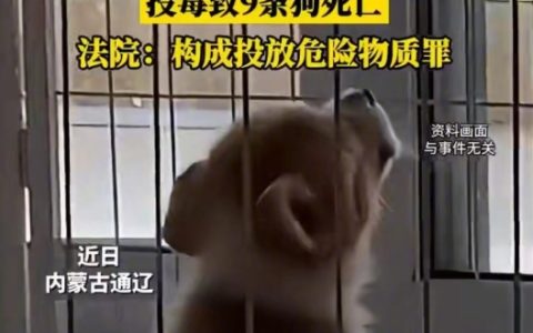 不满13条狗半夜叫扰毒死9只获刑是怎么回事？详情介绍