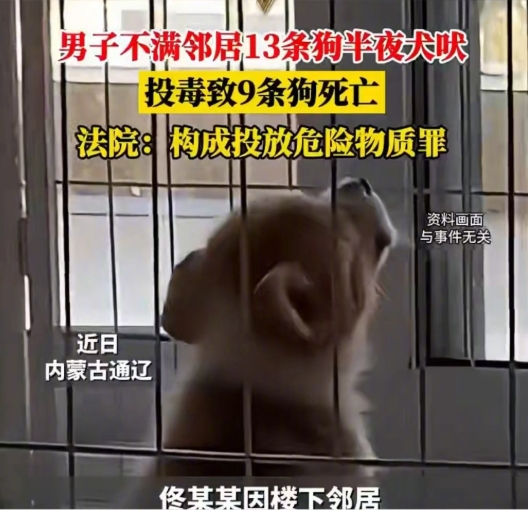 不满13条狗半夜叫扰毒死9只获刑是怎么回事?详情介绍 - 创想鸟