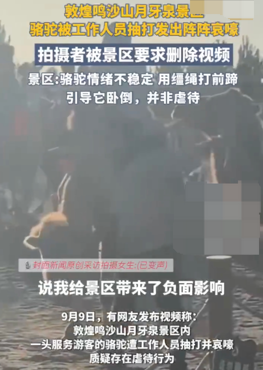 游客拍骆驼挨打被要求删视频是怎么回事？详情介绍 - 创想鸟