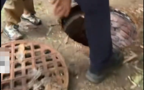 武汉一男童踩翻井盖坠下水道被父亲救起是怎么回事？详情介绍