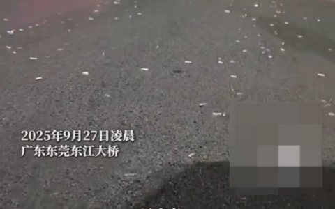 货车一路掉铁钉几十辆车被扎胎是怎么回事？详情介绍
