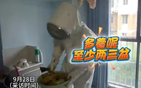 房子三年没住长出10斤蜂巢蜜是怎么回事？详情介绍