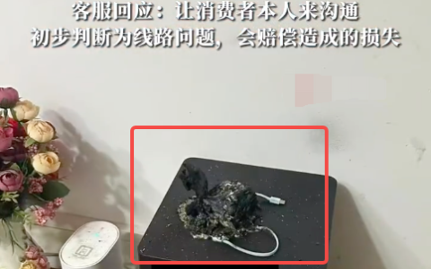 女子假期外出3C充电宝在家自爆是怎么回事？详情介绍