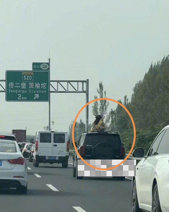 车辆高速行驶中女子上半身探出天窗是怎么回事?详情介绍 - 创想鸟