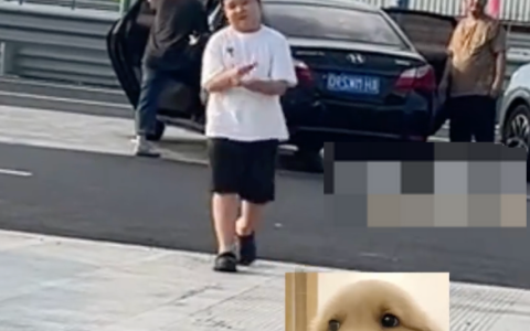 家长把孩子忘在服务区“又上演了” 网友：小孩看似情绪稳定 实则是没招了