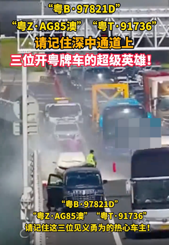 深中通道上三位开粤牌车的超级英雄:“粤b·97821d” “粤z·ag85澳”“粤t·91736” - 创想鸟