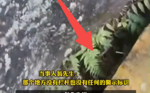 熊猫谷景区回应3岁男童坠落栈道：已加装护栏进行整改