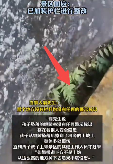 熊猫谷景区回应3岁男童坠落栈道:已加装护栏进行整改 - 创想鸟