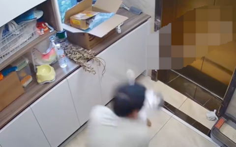 公猫疑似发情突然攻击主人是怎么回事？详情介绍
