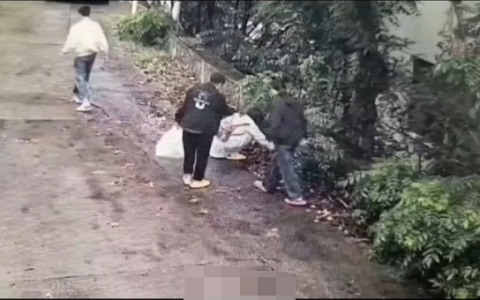 游客称捡果实被民宿老板用水枪喷 景区回应：景区商户个人行为，已在处理