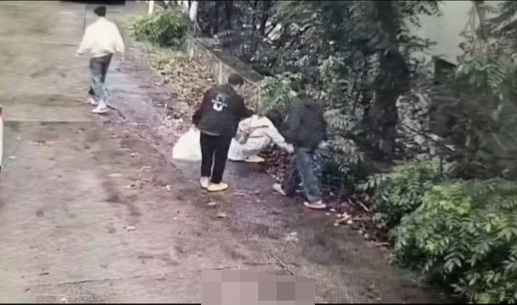 游客称捡果实被民宿老板用水枪喷 景区回应:景区商户个人行为,已在处理 - 创想鸟