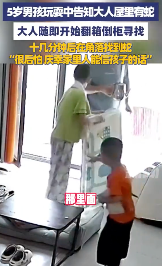 男孩说屋里有蛇大人翻箱倒柜后找到 孩子父亲:很后怕,庆幸听了孩子的话 - 创想鸟