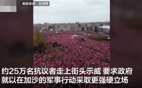 荷兰约25万人抗议示威：高呼“解放巴勒斯坦”口号