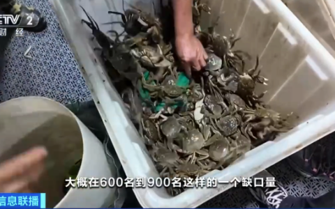 挑蟹师月入2万还缺人是怎么回事？详情介绍