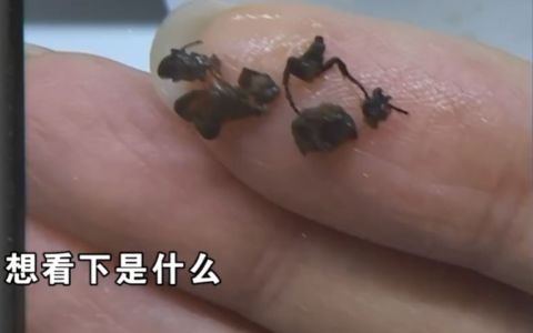 老顾客称奶茶喝出锯齿状物体 店家：内部检查没发现