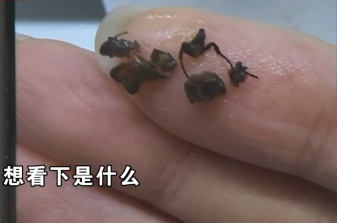 老顾客称奶茶喝出锯齿状物体 店家:内部检查没发现 - 创想鸟