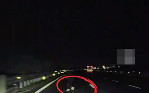 夜间高速突然冒出一人 司机吓到尖叫是怎么回事？详情介绍
