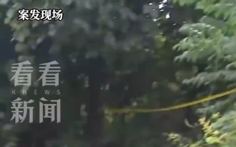 韩国女网红遭榜一大哥杀害是怎么回事？详情介绍