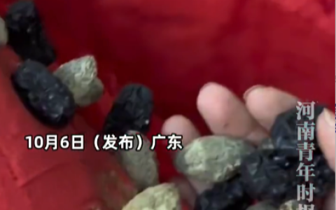 女子结婚8年才发现喜被里有红枣是怎么回事？详情介绍