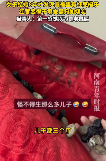 结婚8年生3儿子才发现喜被里红枣 网友:这是真枣(早)生贵子了 - 创想鸟
