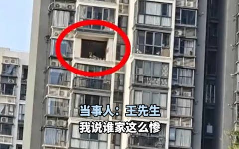 男子回家发现门窗被台风“偷”了 当事人：业主群吃瓜吃到自己头上
