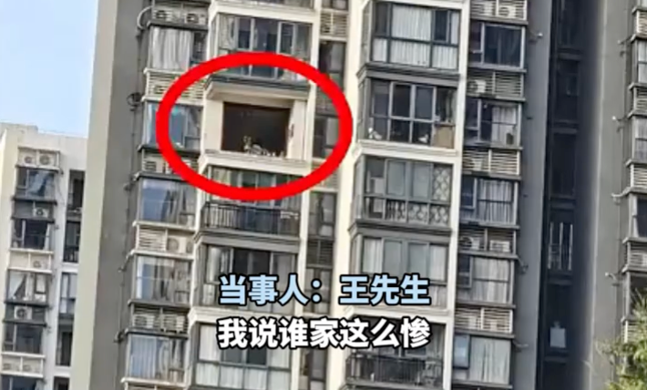 男子回家发现门窗被台风“偷”了 当事人:业主群吃瓜吃到自己头上 - 创想鸟