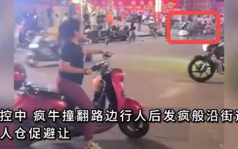 广西梧州一“疯牛”闹市连撞多人是怎么回事？详情介绍