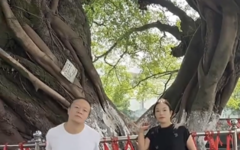 母子俩拍回忆杀网友误以为夫妻是怎么回事？详情介绍