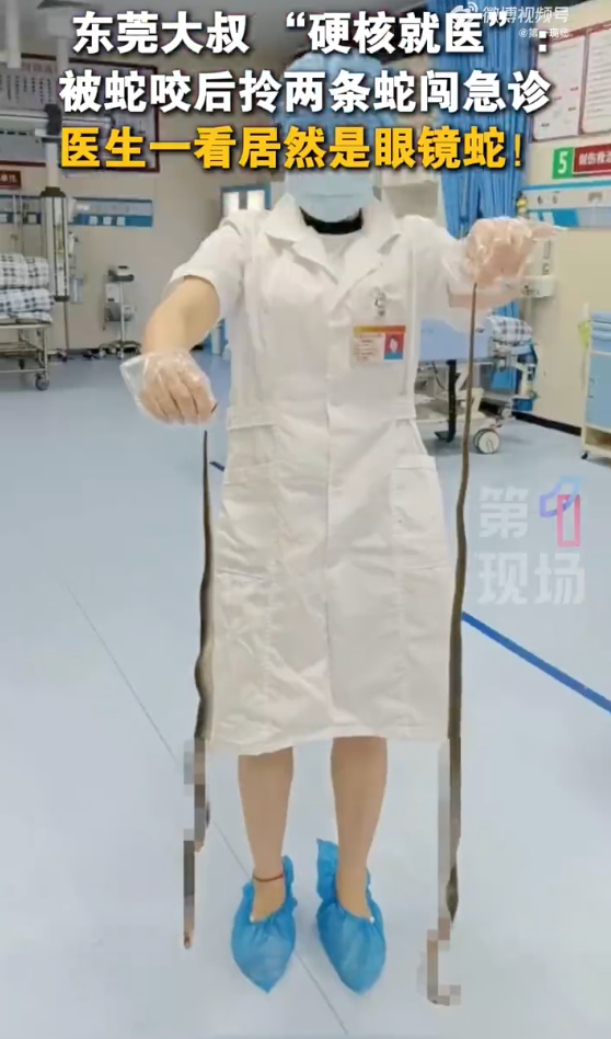 广东老人网鱼网到两条眼镜蛇被咬伤 被咬后手提2条眼镜蛇进急诊 - 创想鸟