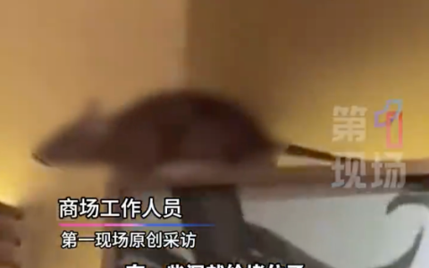 商场回应餐厅天花板上老鼠乱窜：已闭店整改进行消杀