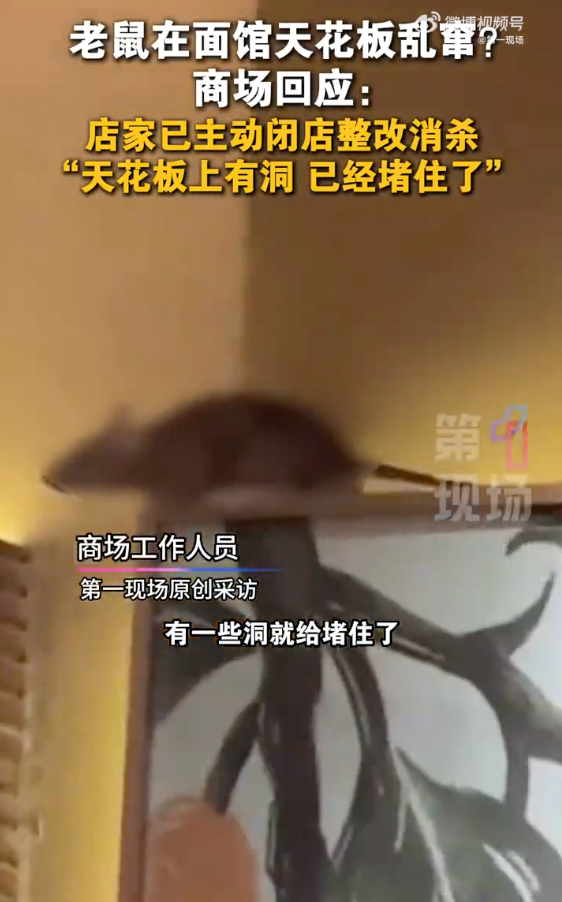 商场回应餐厅天花板上老鼠乱窜:已闭店整改进行消杀 - 创想鸟