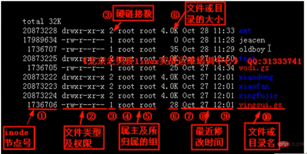 linux有哪些文件类型
