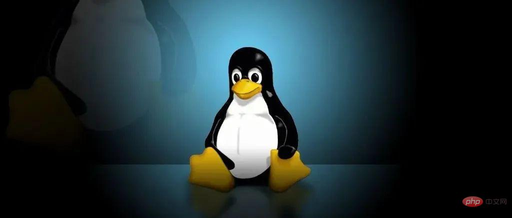 超实用的 Linux 高级命令,程序员一定要懂!