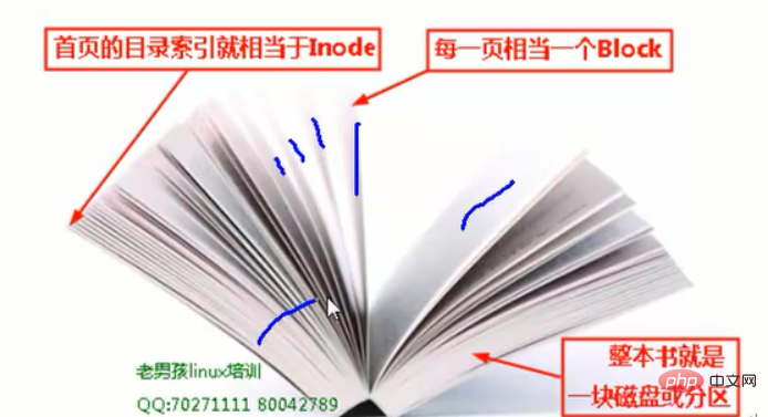 linux有哪些文件类型