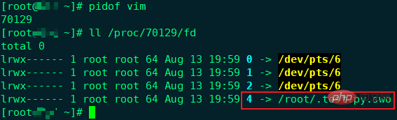 linux fd是什么