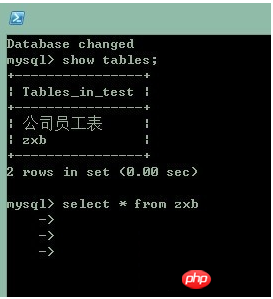 MySQL如何取消错误命令?