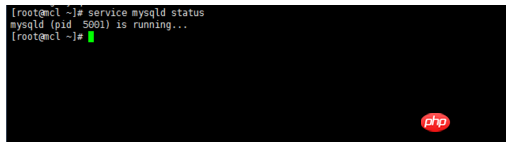 linux如何查看mysql是否启动?
