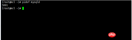 1502433880305133.png 9.png
