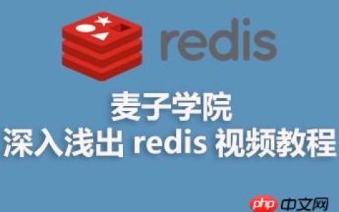 麦子学院深入浅出 redis 视频资料分享