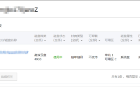 如何将单独创建的云盘（作数据盘用）挂载到ECS实例上