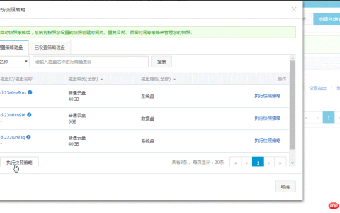 通过磁盘入口或者快照入口怎么来指定执行的自动快照策略